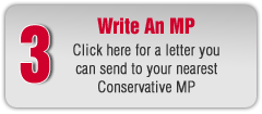 Write a Conservative MP to Stop the HST